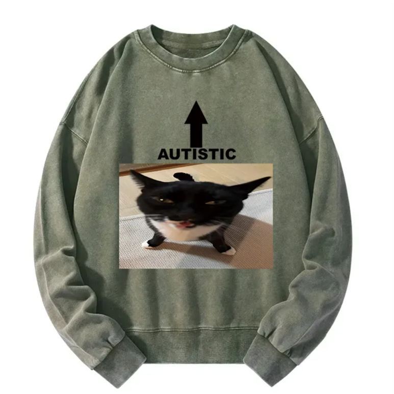 Autistic Cat Washed Sweatshirt