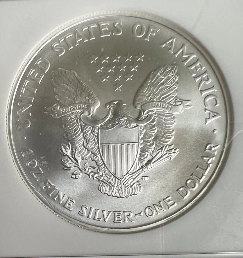 2007 1 oz American Silver Eagle Coin