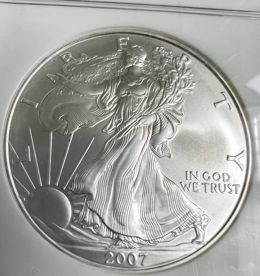 2007 1 oz American Silver Eagle Coin
