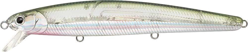 Zebra MS Ghost Minnow