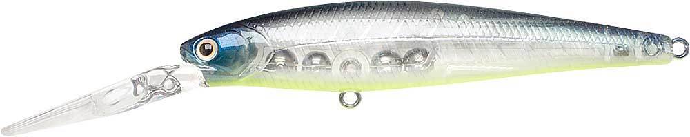 Chartreuse Shad