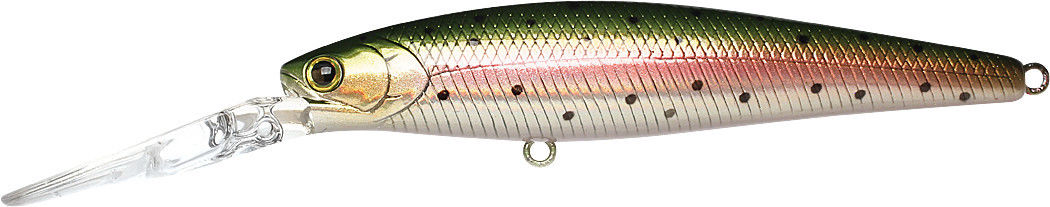 MS American Shad