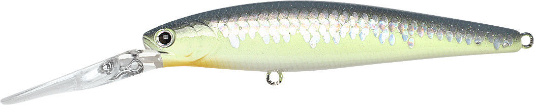 Pearl Threadfin Shad