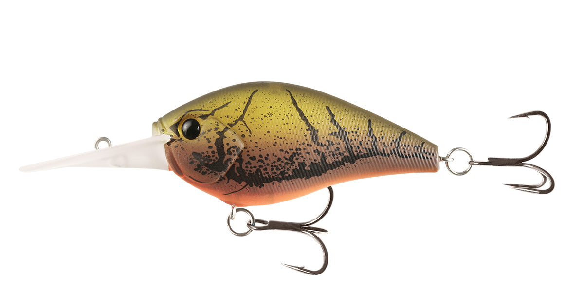 13 Fishing Cliff Banger Medium-Deep Diving Crankbait