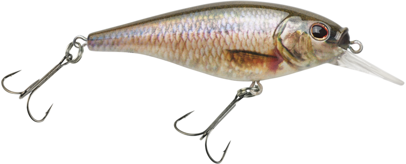 Berkley Flicker Shad Shallow Crankbait
