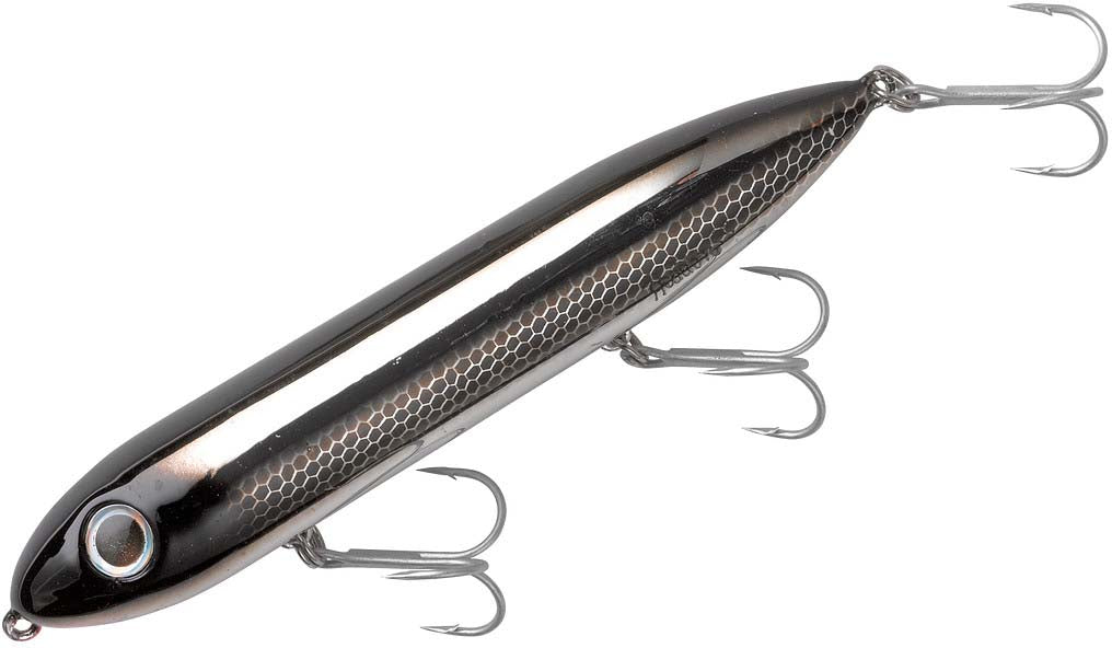Black Shiner