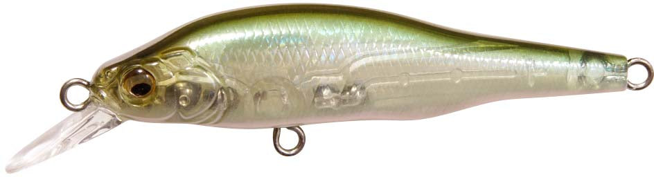 HT Ito Tennessee Shad