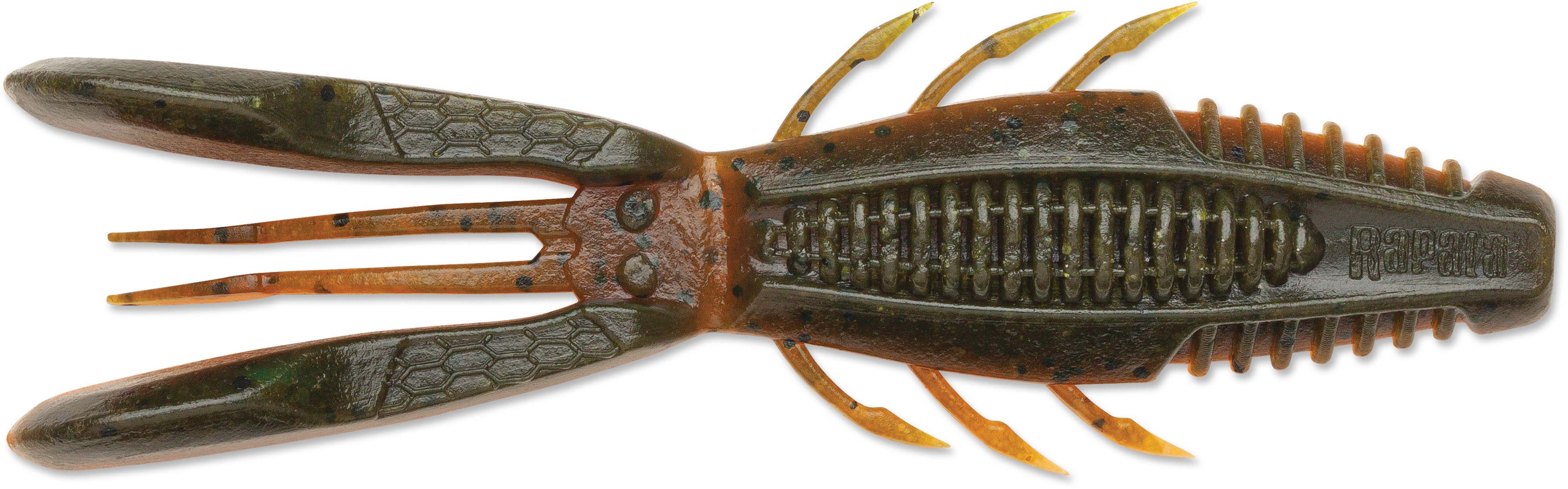 Black Blue Green Pumpkin