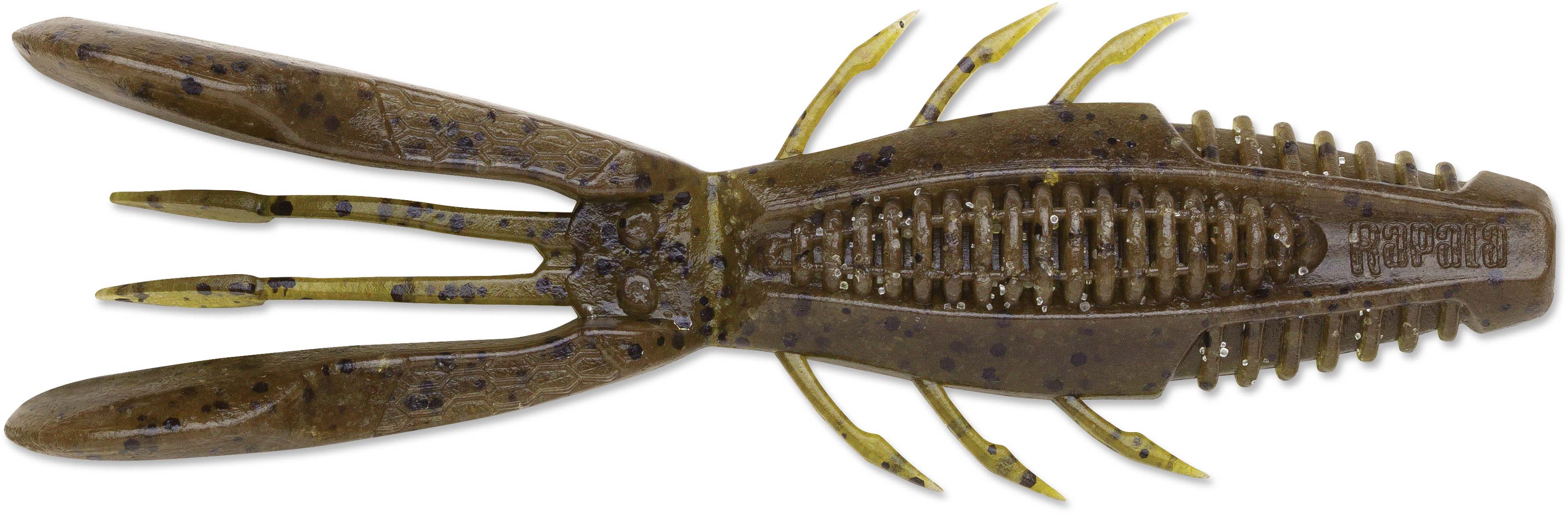 Green Pumpkin Watermelon