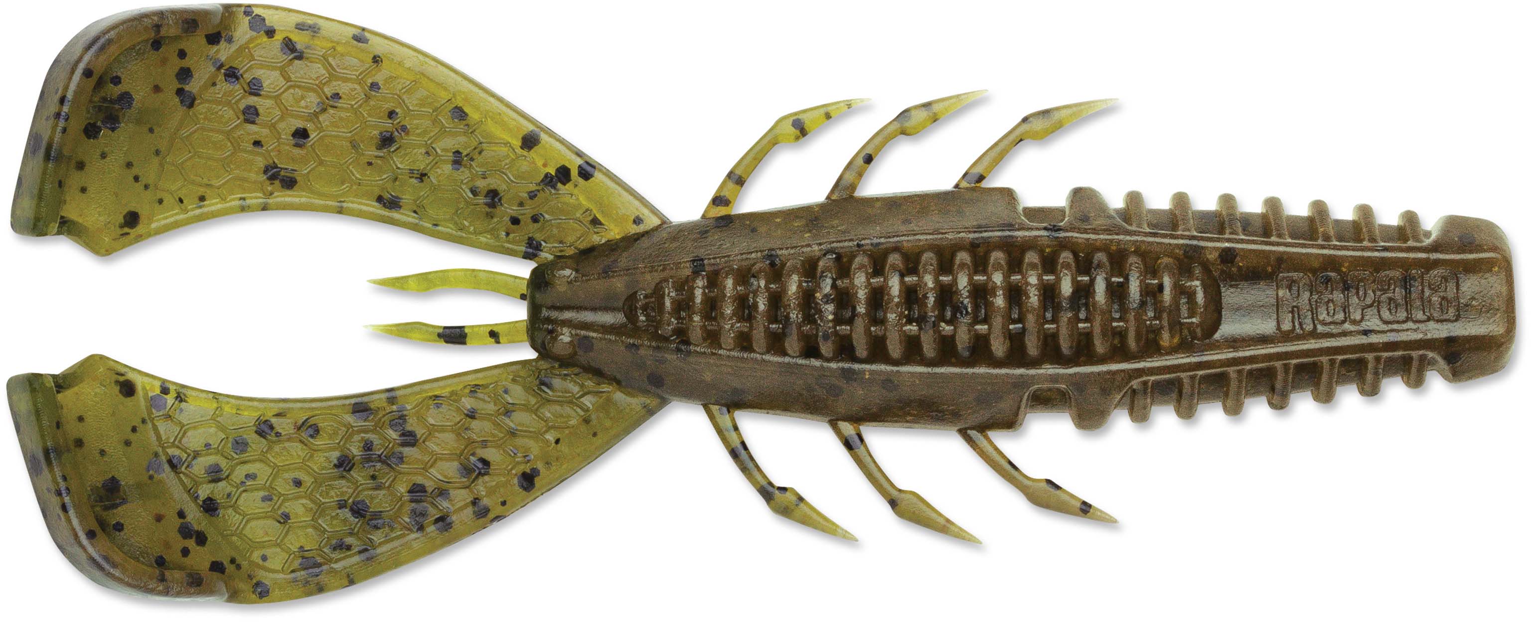 Green Pumpkin Watermelon