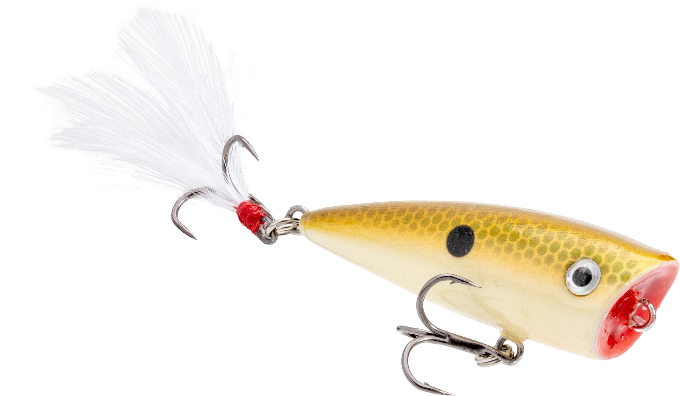 Strike King Bitsy Splash Topwater Popper