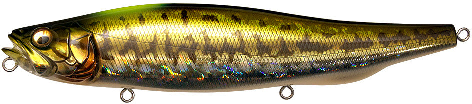 Sakura Coach - Respect Series