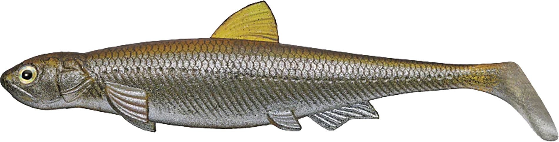 Evergreen Last Ace 140 Paddle Tail Swimbait - 5.5 Inches