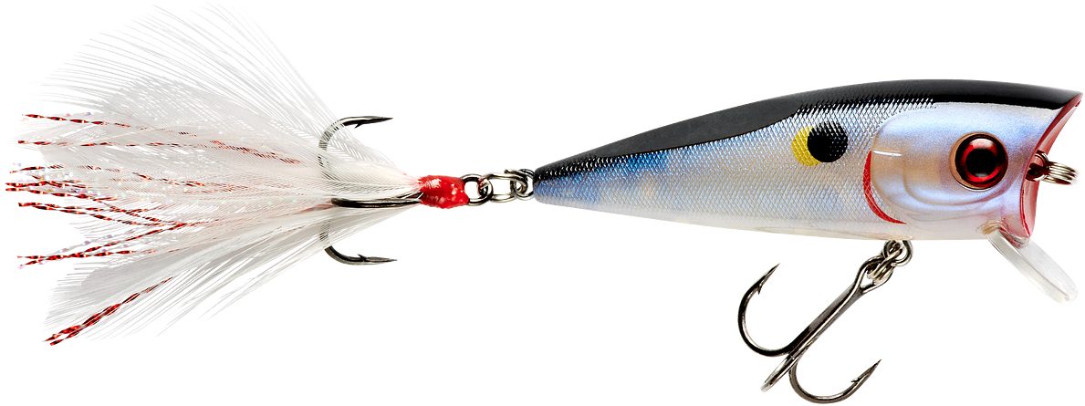 Booyah Prank 2 1/2 inch Topwater Popper