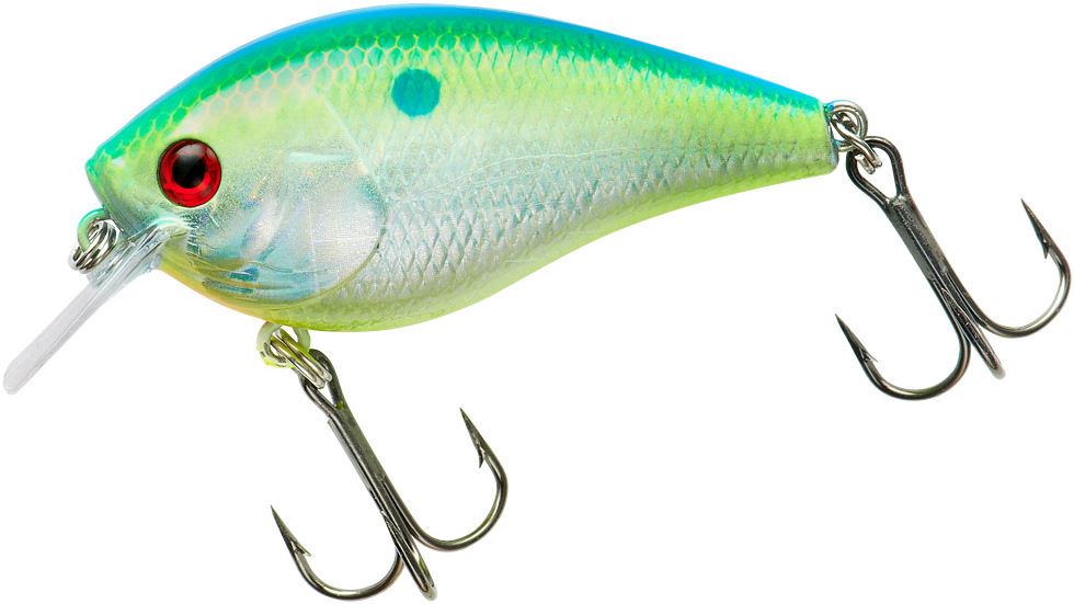 Booyah XCS Series Shallow Squarebill Crankbait