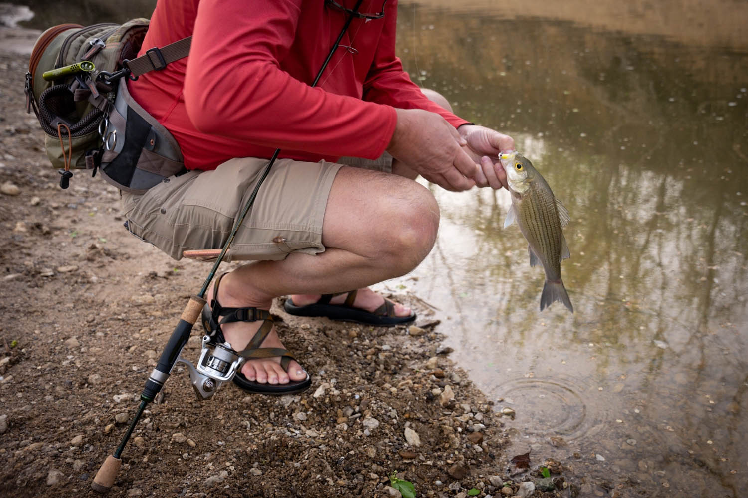 Temple Fork Outfitters Trout-Panfish Spinning Rods