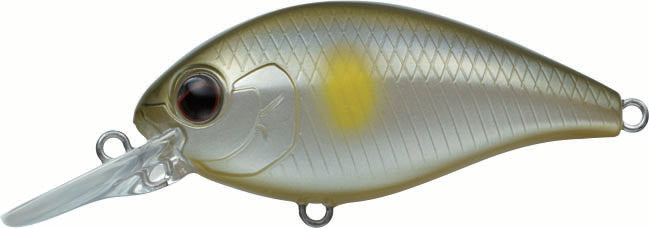 Evergreen International CR-6 Medium Diving Crankbait