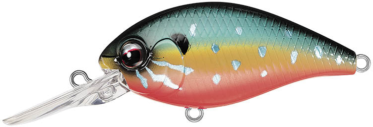 Evergreen International CR-10 Deep Diving Crankbait