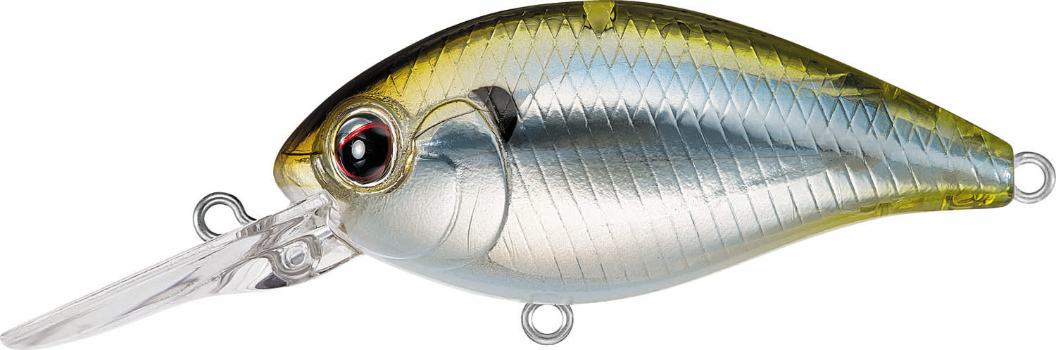 Evergreen International CR-6 Medium Diving Crankbait