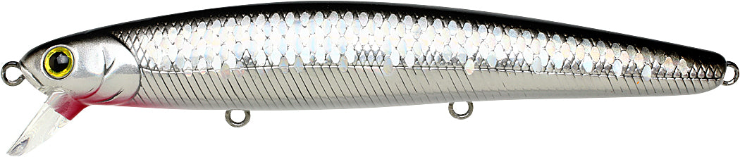 Super Glow MS Anchovy