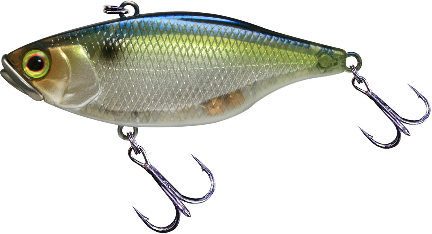 SG Threadfin Shad
