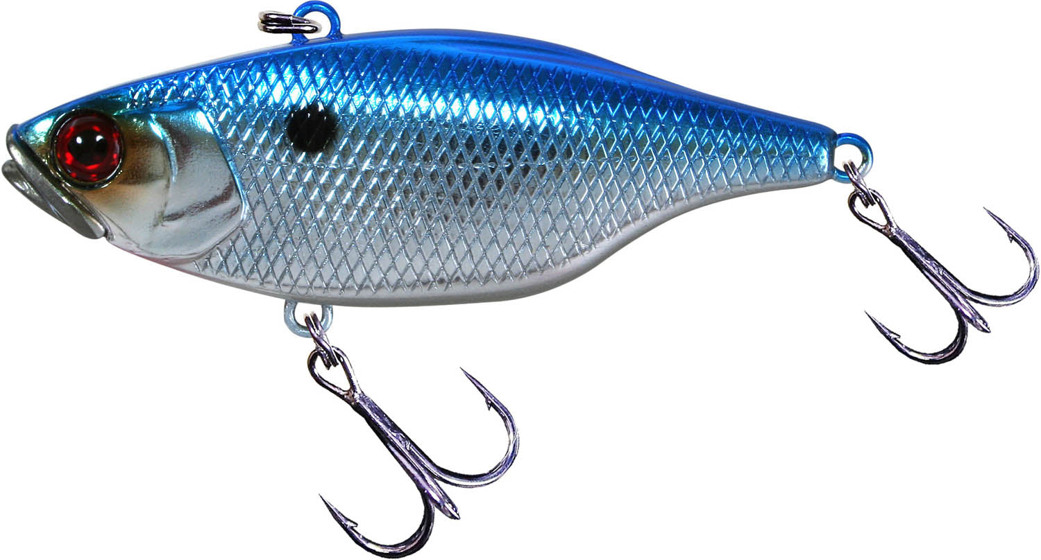 HL Blueback Chrome
