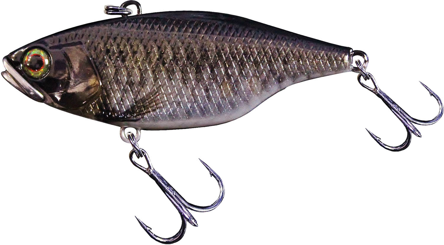 RT Scale Minnow