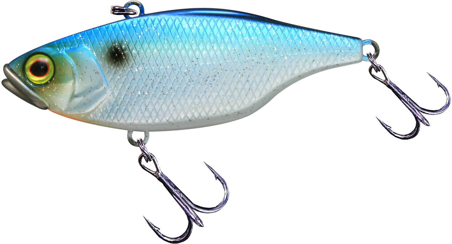 Sparkle SS Shad