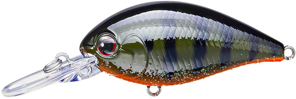 Evergreen International CR-8 Medium Diving Crankbait