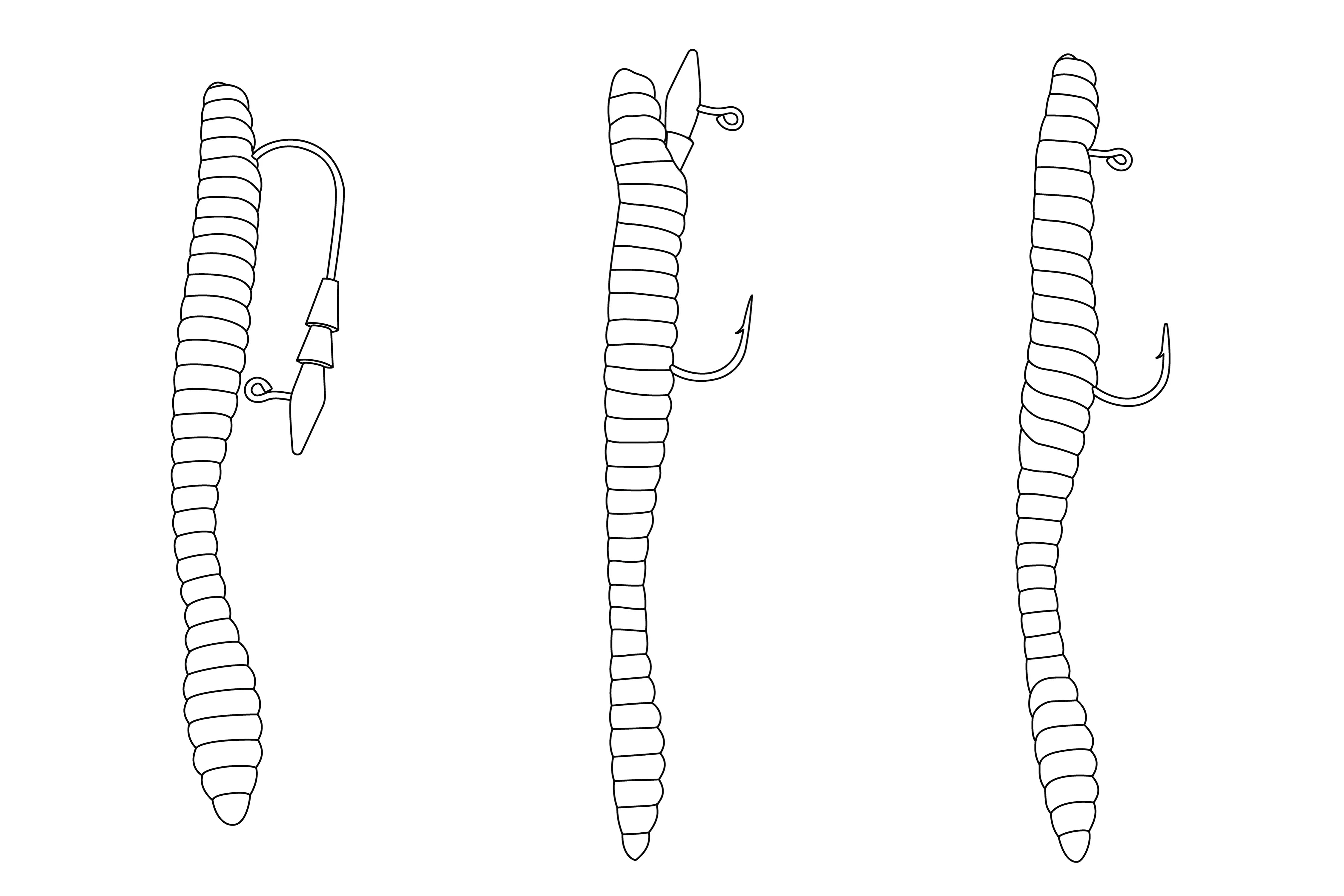 Core Tackle The Hover Rig - 3 pack