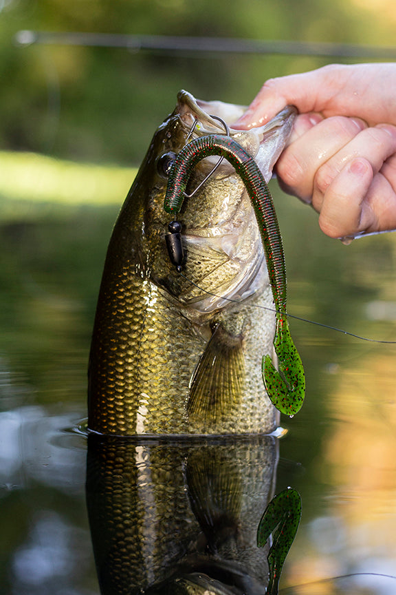 Departure Outdoors Tungsten Worm Weights - 5 Pack