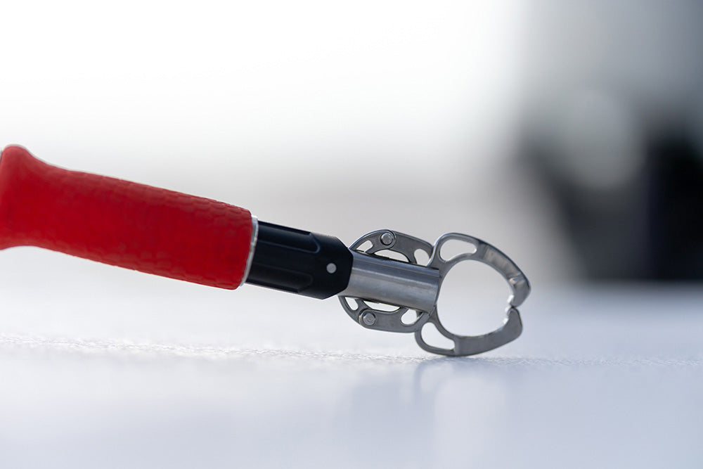 Bubba Fish Lip Grabber & Scale Combo - 20LB Rating