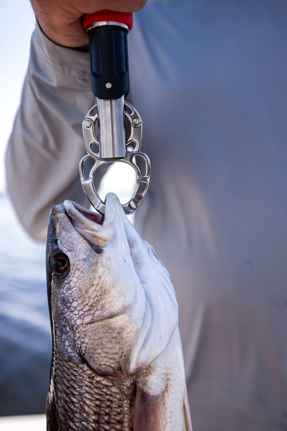 Bubba Fish Lip Grabber & Scale Combo - 20LB Rating