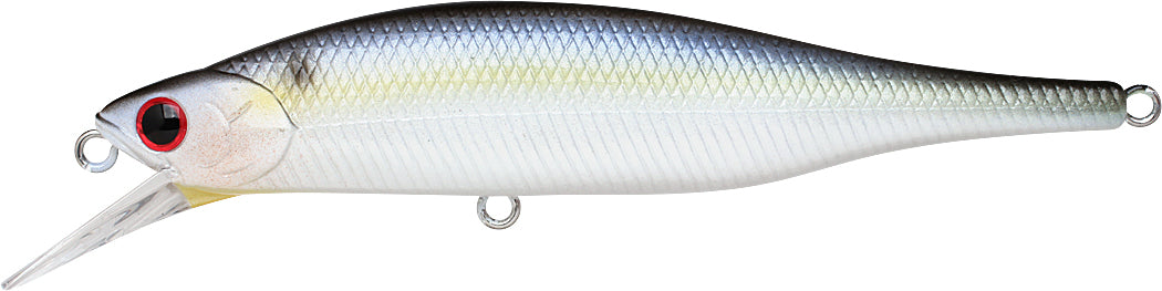 Pearl Threadfin Shad