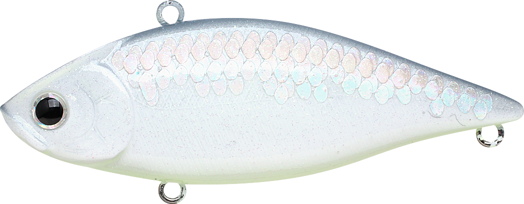 MS Gunmetal Shad