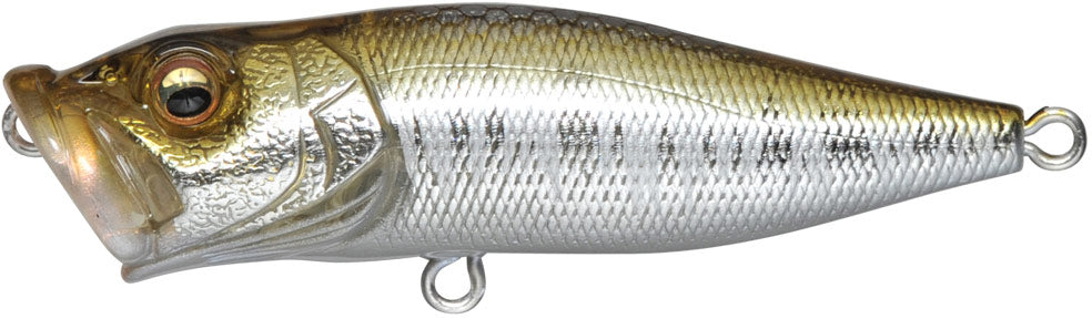 YMC - Respect Series