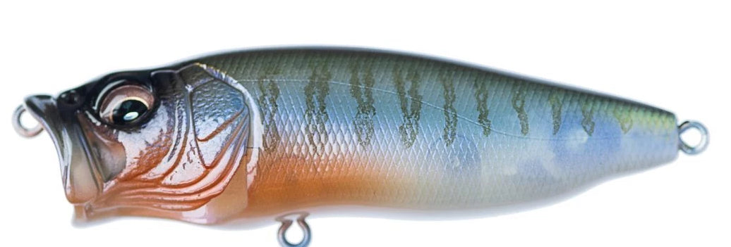 YMC - Respect Series