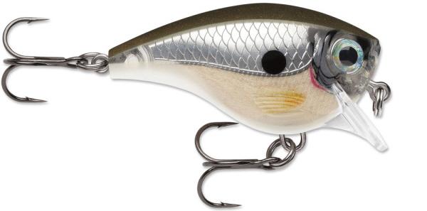 Pearl Grey Shiner