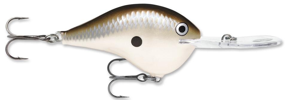 Pearl Grey Shiner
