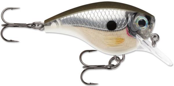 Pearl Grey Shiner
