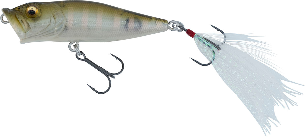 GP Sexy Shad