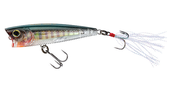 Yo-Zuri 3DB Popper 3 inch Topwater Popper