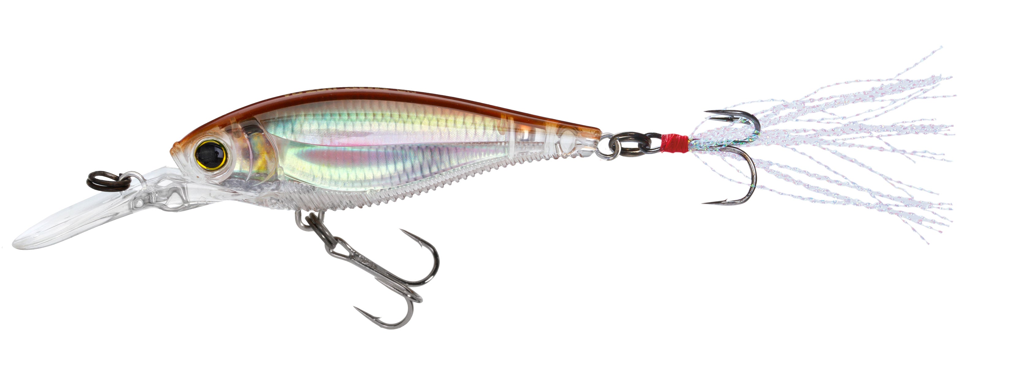 Yo-Zuri 3DB Shad Suspending 2 3/4 inch Medium Diving Crankbait