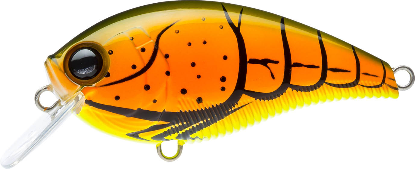 Yo-Zuri 3DB Crank 1.5 Shallow Squarebill Crankbait