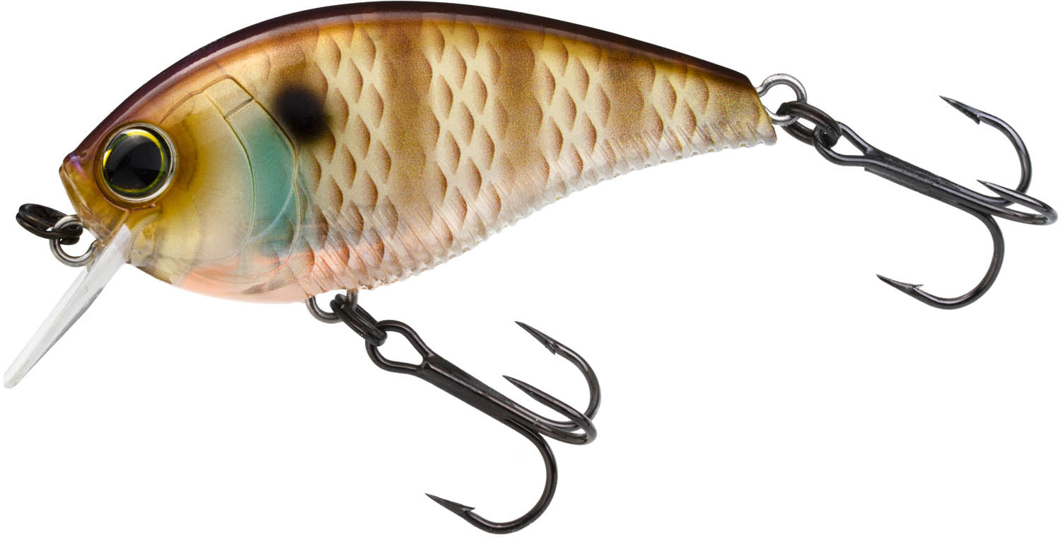 Yo-Zuri 3DB Crank 1.5 Shallow Squarebill Crankbait