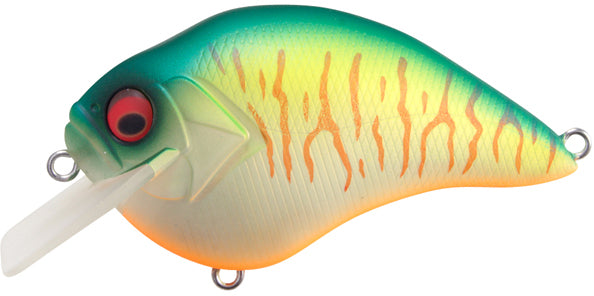 PM Megabass Hot Shad