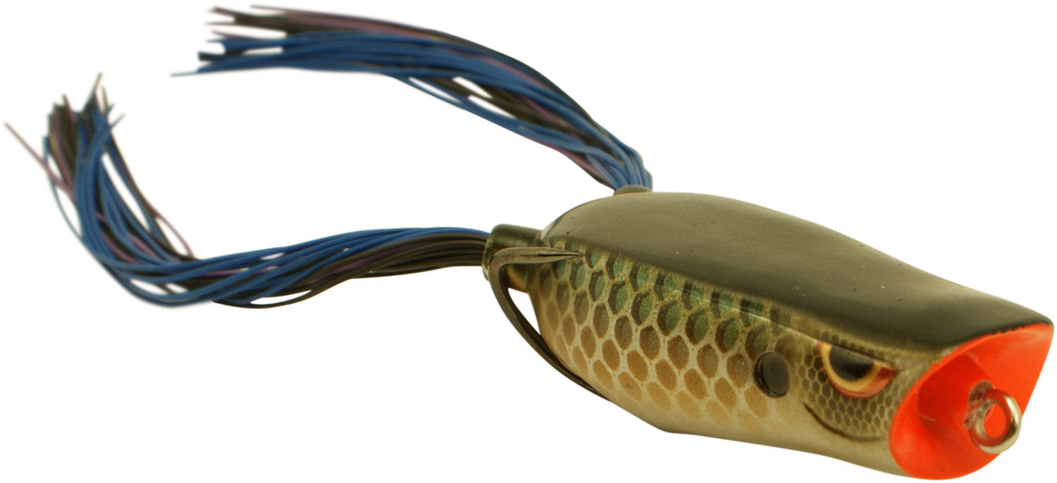 SPRO Dean Rojas Bronzeye Popper 60 Frog