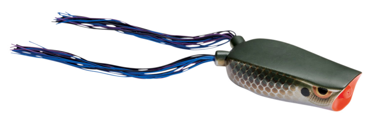 SPRO Dean Rojas Bronzeye Popper 70 Frog