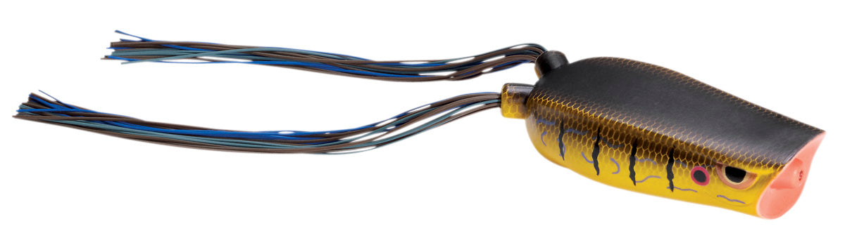SPRO Dean Rojas Bronzeye Popper 70 Frog