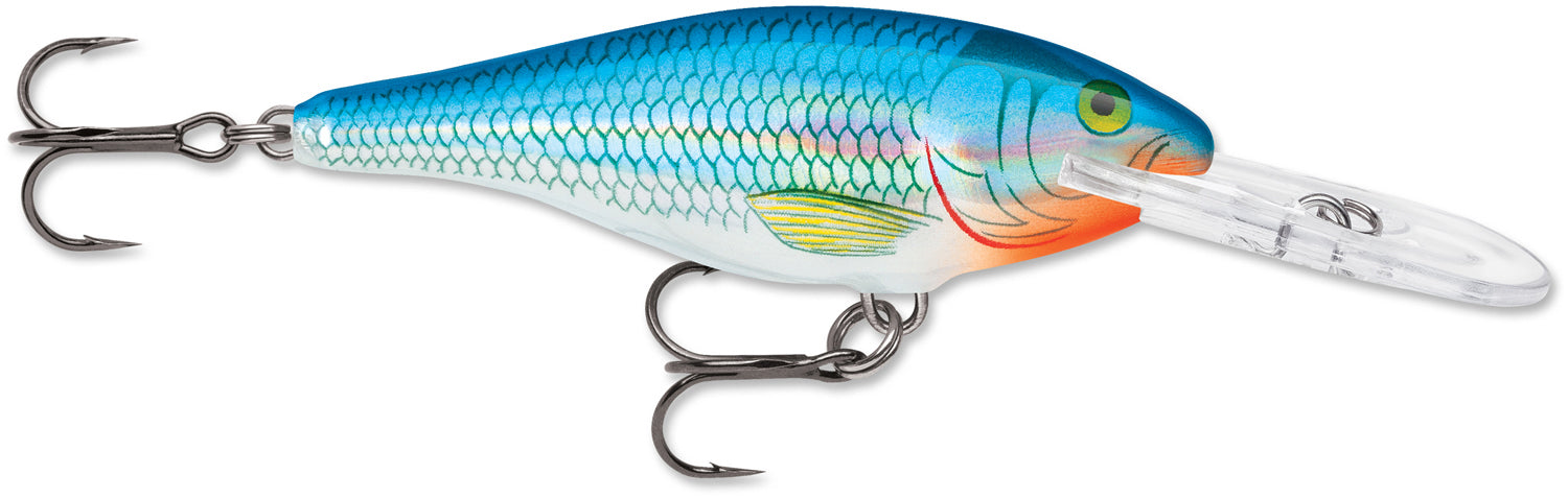 Holographic Blue Shiner